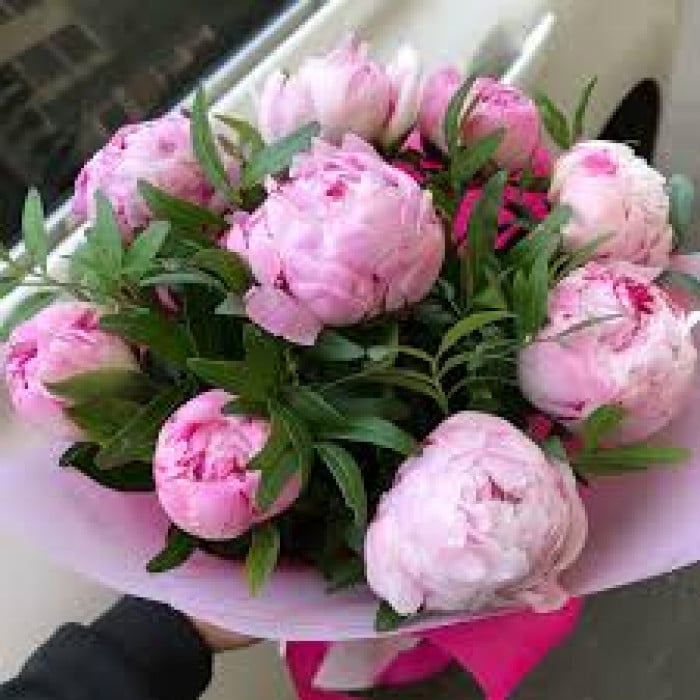 Пион древовидный в Зыряновске