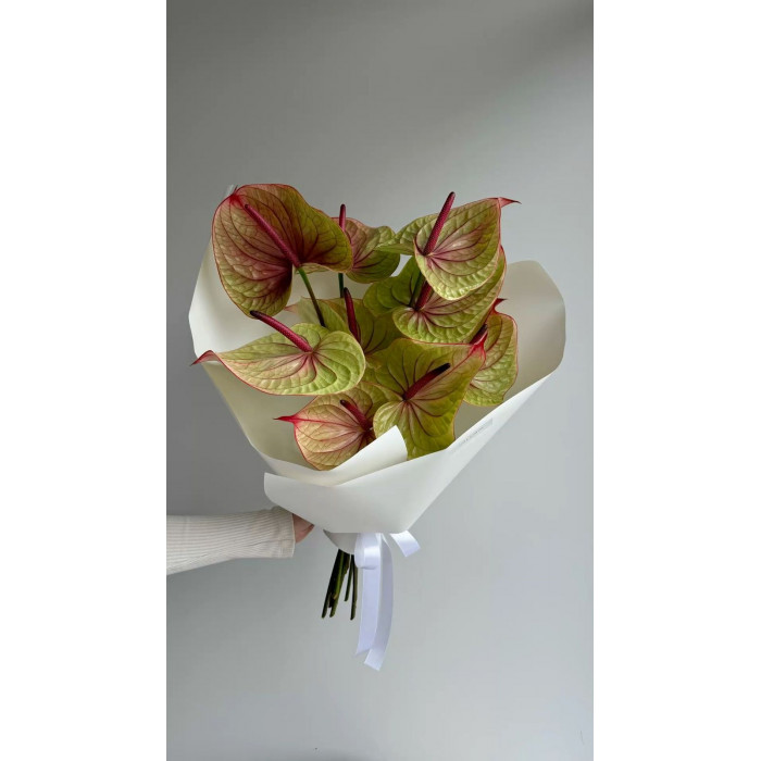 Антуриумы в Зыряновске