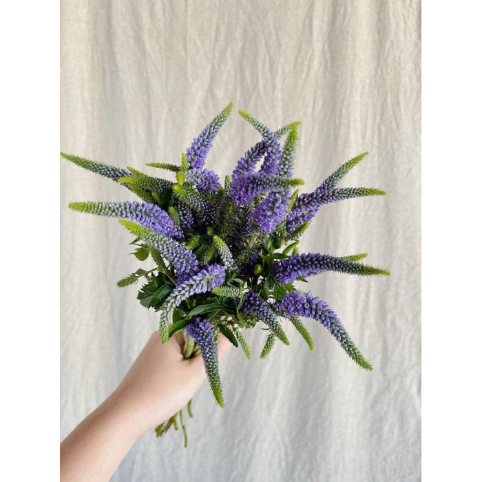 Вероника в Зыряновске