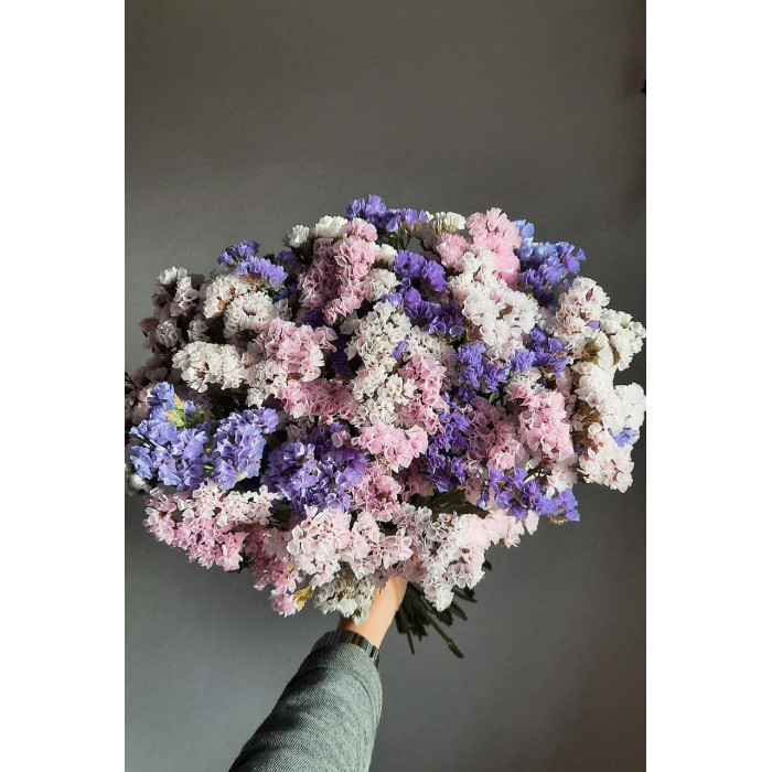 Статица (Лимониум) в Зыряновске