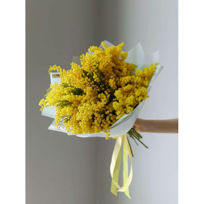 Мимоза в Зыряновске