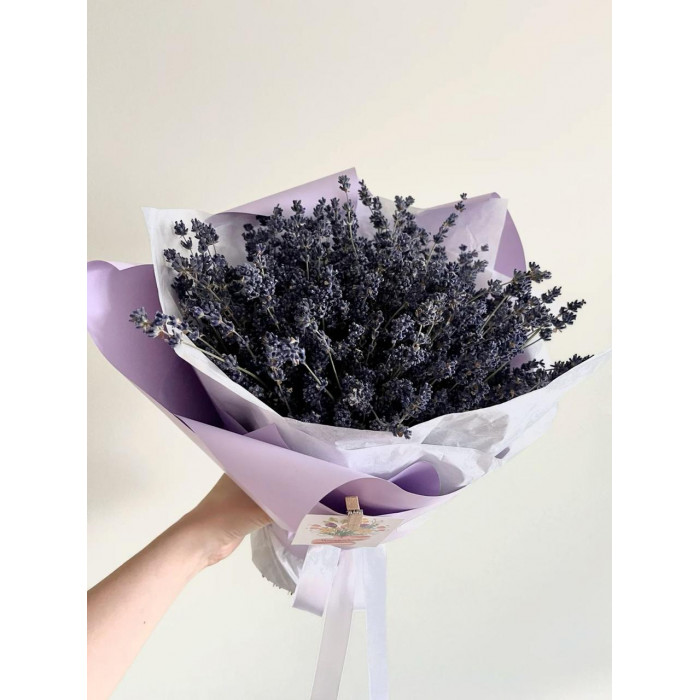 Лаванда в Зыряновске