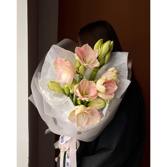 Амариллис в Зыряновске