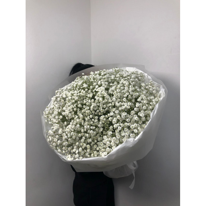 Гипсофила классическая в Зыряновске