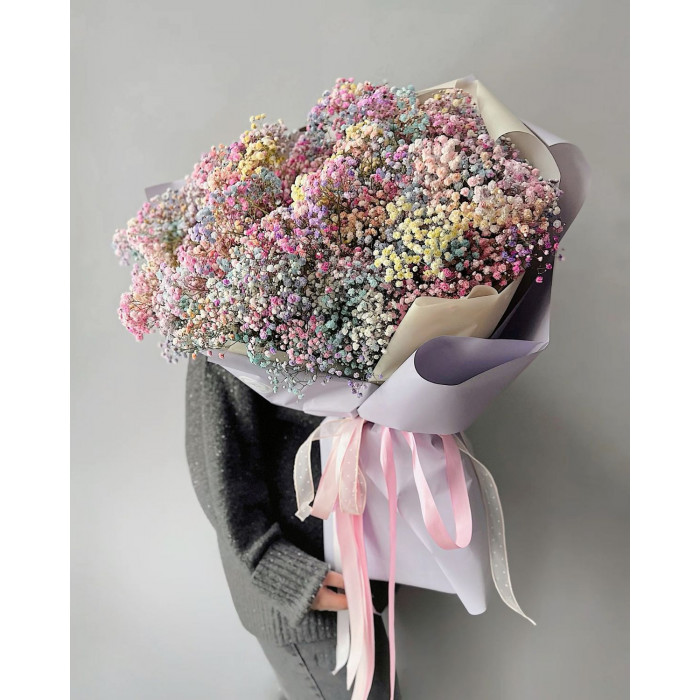 Гипсофила цветная в Зыряновске