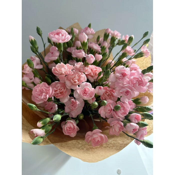 Кустовые гвоздики в Зыряновске