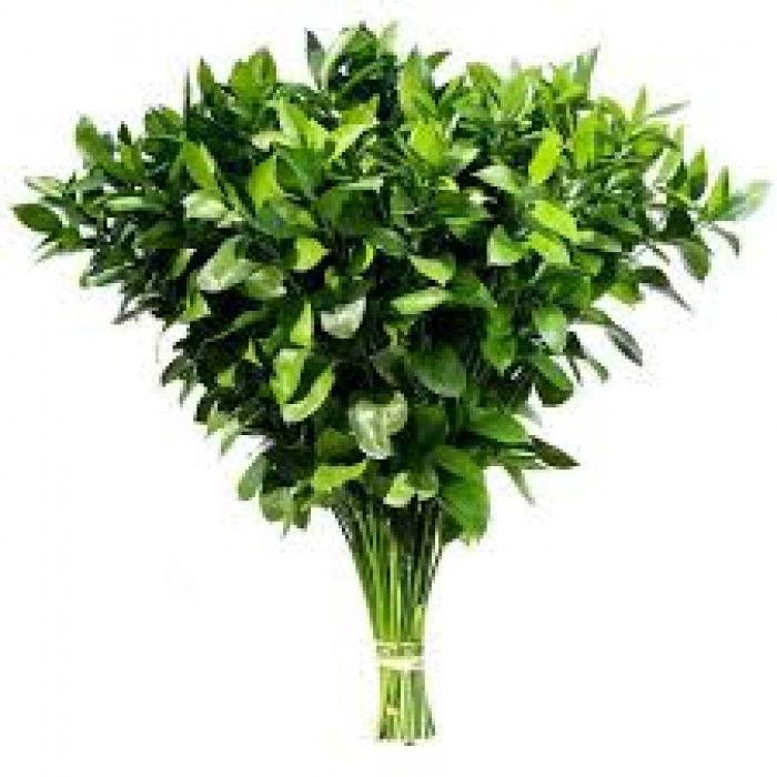 Рускус в Зыряновске