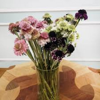 Букет микс из скобиозы