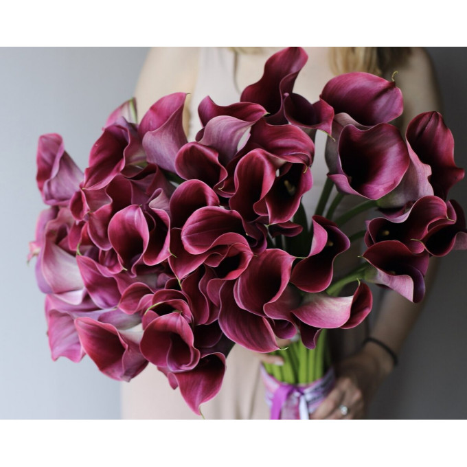 Букет из фиолетовой каллы мини Букет из фиолетовой каллы мини